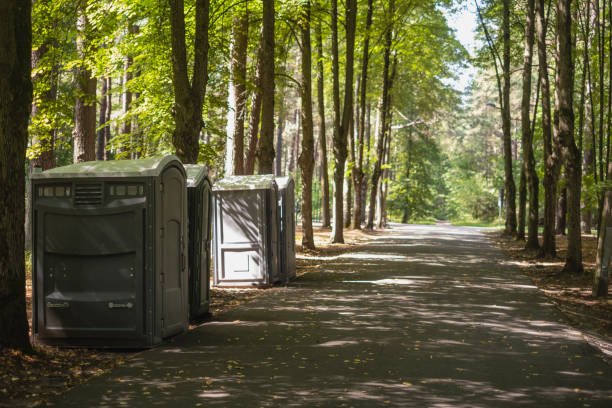 Trusted Cherry Creek, CO porta potty rental Experts